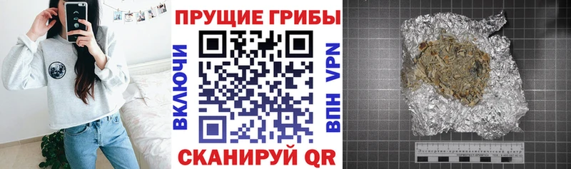 Псилоцибиновые грибы ЛСД где продают наркотики Прокопьевск