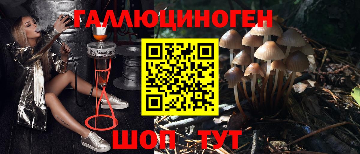 Галлюциногенные грибы MAGIC MUSHROOMS Прокопьевск