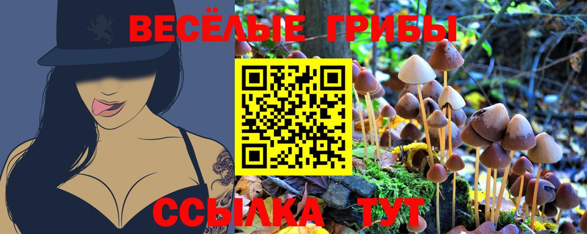 Псилоцибиновые грибы Psilocybine cubensis  Вход с VPN  Прокопьевск 